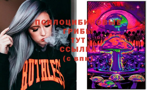 дживик Белоозёрский