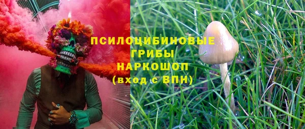 метамфетамин Белокуриха