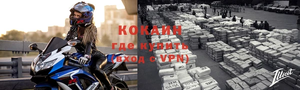 ПСИЛОЦИБИНОВЫЕ ГРИБЫ Бикин