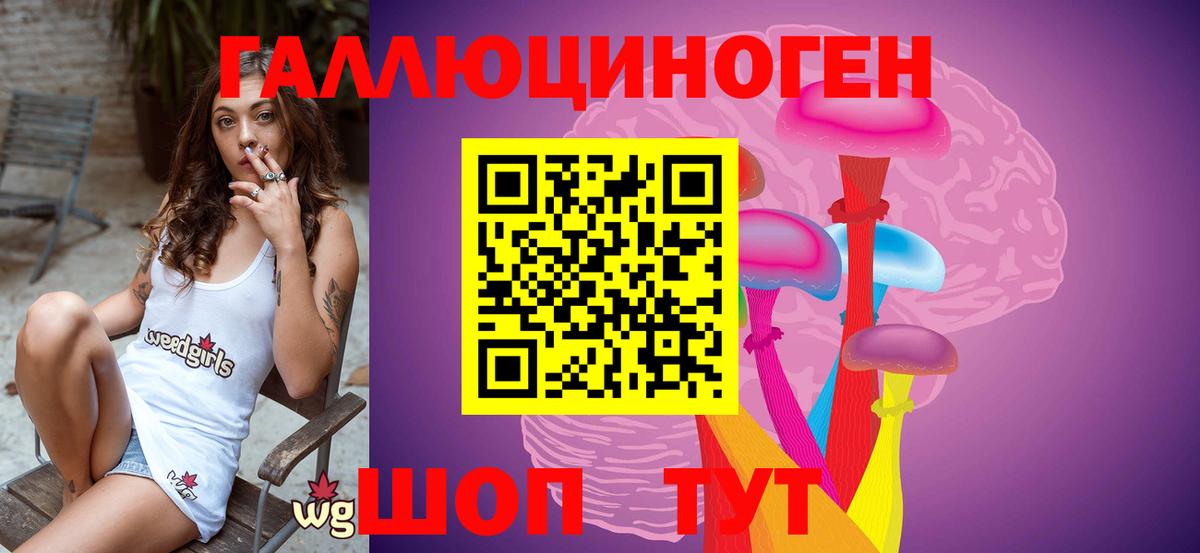 Горно-Алтайск  Псилоцибиновые грибы Magic Shrooms  Вход с VPN 